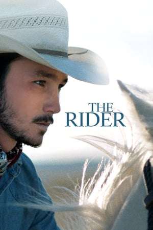 Poster The Rider (2017) jf