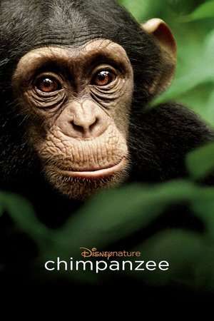 Chimpanzee 2012 Poster