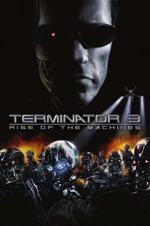 Terminator 3: Rise of the Machines (2003) jf