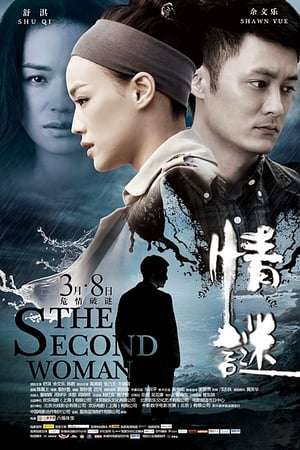 Poster The Second Woman (2012)