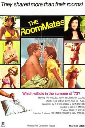 The Roommates 1973 Poster