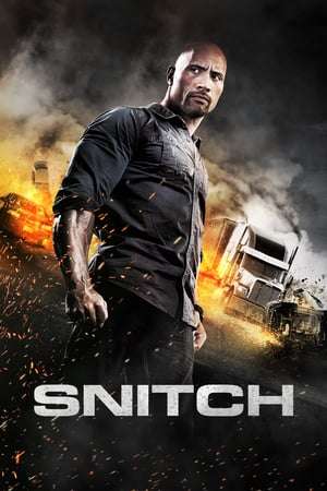 Poster Snitch (2013)