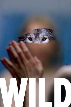 Poster Wild (2016)