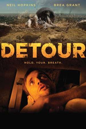 Detour 2013 Poster