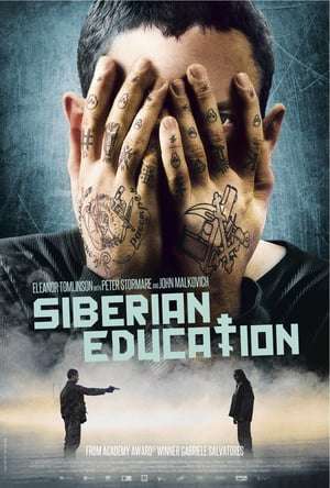 Poster Siberian Education (2013)