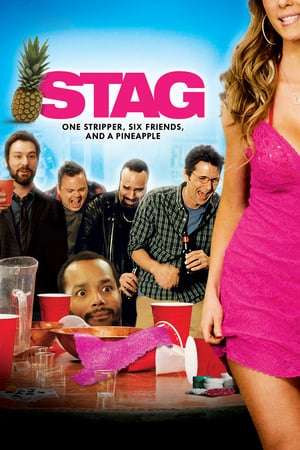 Poster Stag (2013)