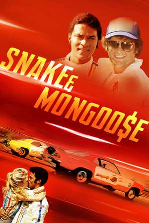 Poster Snake & Mongoose (2013)