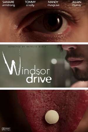 Poster Windsor Drive (2015)