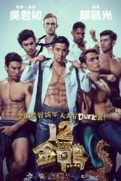 Nonton Film 12 Golden Ducks (2015) Sub Indo