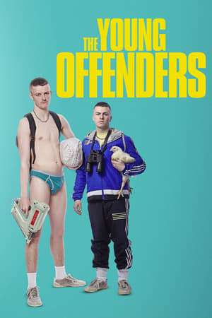 Poster The Young Offenders (2016) jf