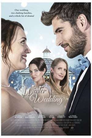 Poster Wedding Wonderland (2017)