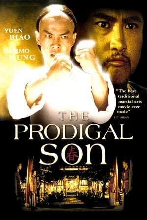 Poster Nonton The Prodigal Son (1981) Sub Indo jf