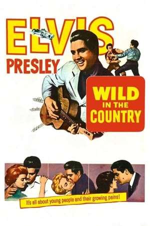 Poster Wild in the Country (1961)