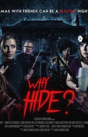 Poster Why Hide? (2018)