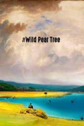 Nonton Film The Wild Pear Tree (2018) Sub Indo