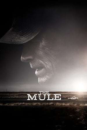 Nonton The Mule (2018) Sub Indo jf