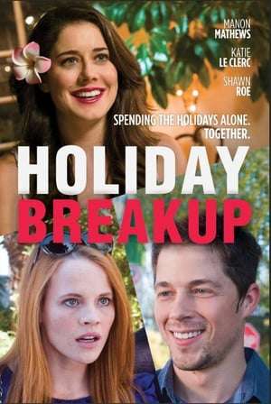 Poster Holiday Breakup (2016)