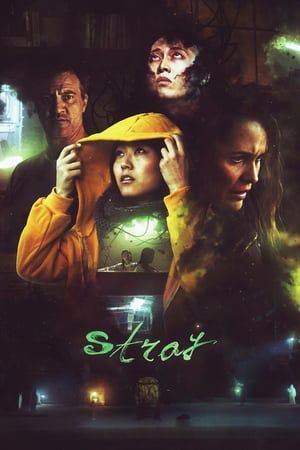 Poster Stray (2019) jf