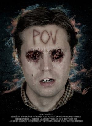 Poster P.O.V (2014)