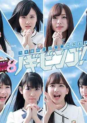 NogiBingo S08 (2017)