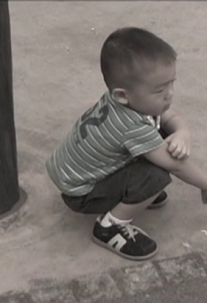 Tears of Elephant (2005)