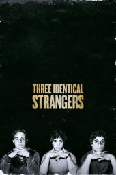 Three Identical Strangers (2018) jf