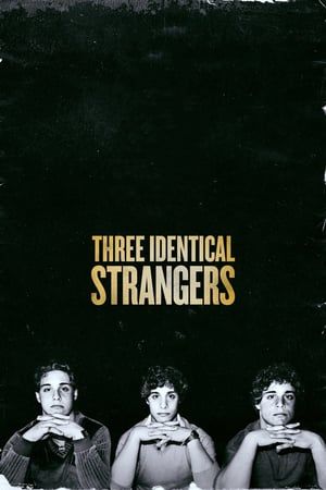 Three Identical Strangers 2018 Poster