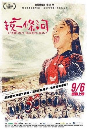 Bridge Over Troubled Water 2013 Poster