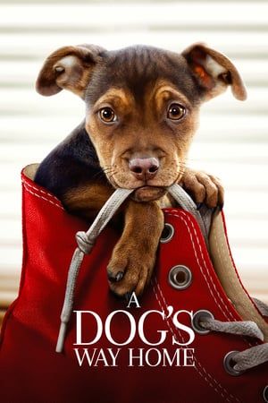 Nonton A Dog’s Way Home (2019) Sub Indo jf