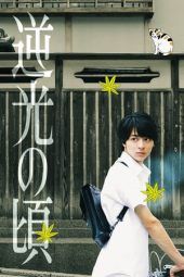 Nonton Film Lights of Kyoto (2017) Sub Indo