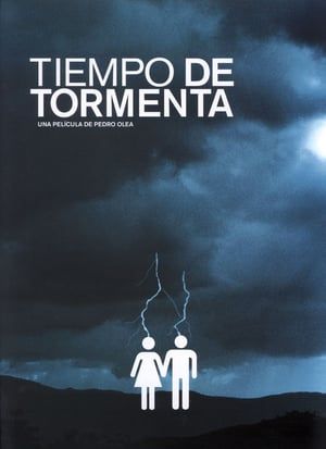 Poster Stormy weather (2003)