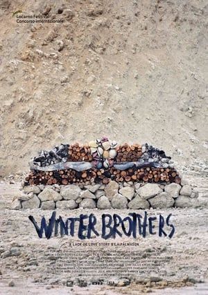 Poster Winter Brothers (2017) jf