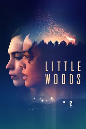 Poster Little Woods (2018)