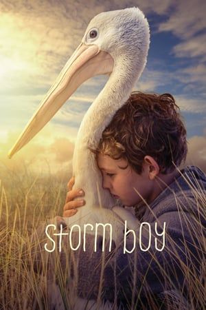 Storm Boy (2019) jf