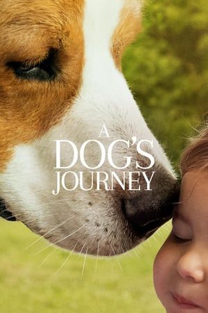 Nonton A Dog’s Journey (2019) Sub Indo jf