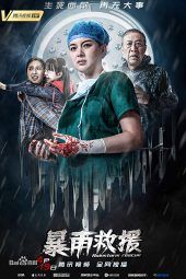 Nonton Film Rainstorm Rescue (2019) Sub Indo