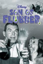 Nonton Film Son of Flubber (1963) Sub Indo