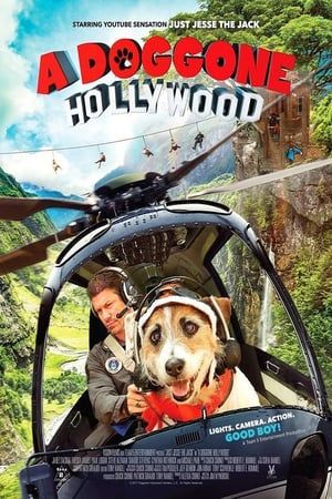 A Doggone Hollywood 2017 Poster