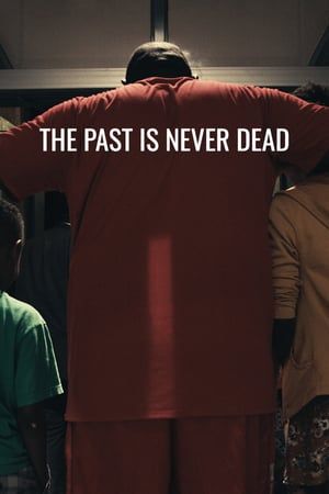 The Past Is Never Dead 2019 Poster
