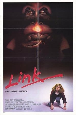 Link (1986) jf