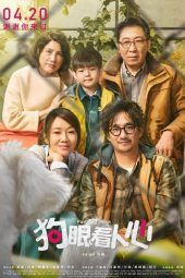 Push and Shove (2019)