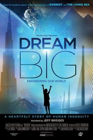 Dream Big Engineering Our World 2017 Poster