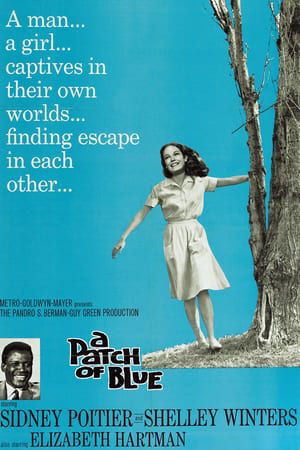 Poster A Patch of Blue (1965) jf