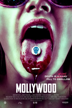 Poster Mollywood (2019)