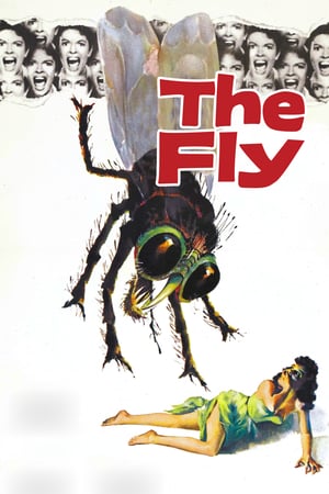 Poster The Fly (1958) jf