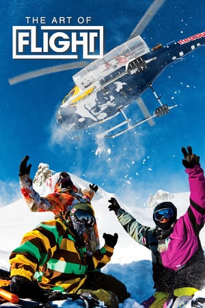 The Art of Flight 2011 Poster
