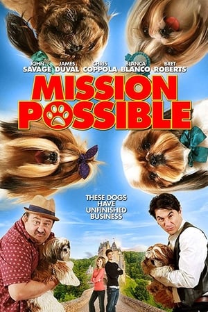 Poster Mission Possible (2018)