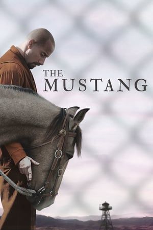 Poster Nonton The Mustang (2019) Sub Indo jf