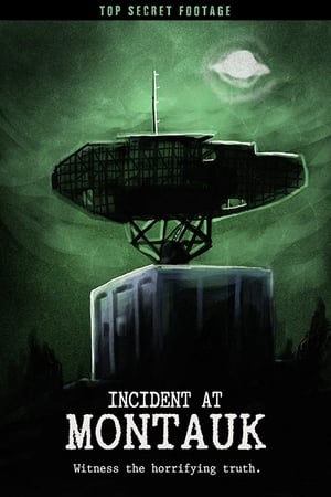 Incident at Montauk (2019) jf