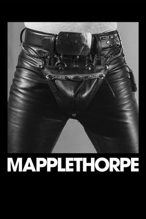 Poster Mapplethorpe (2018) gt